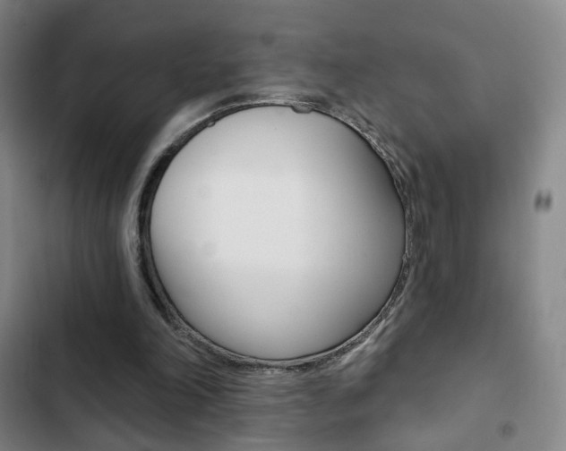 X0000103260198200808291051