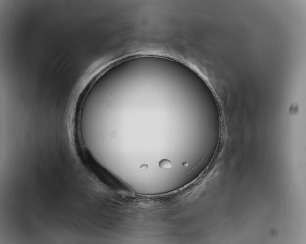 X0000103260199200808291051