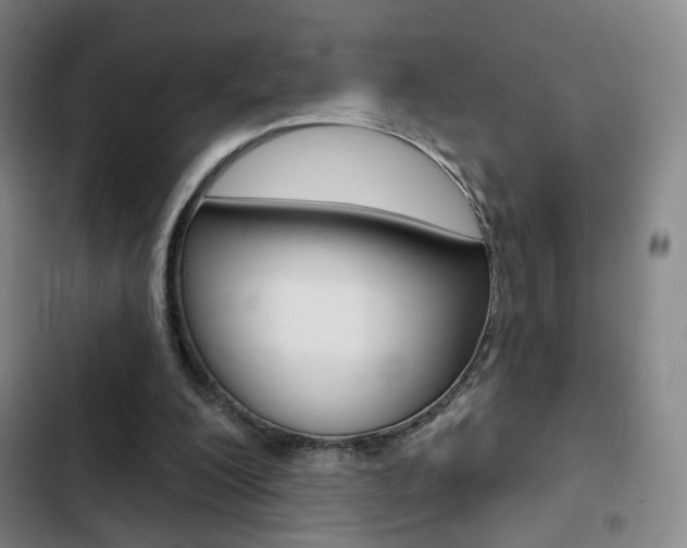 X0000103260200200808291051