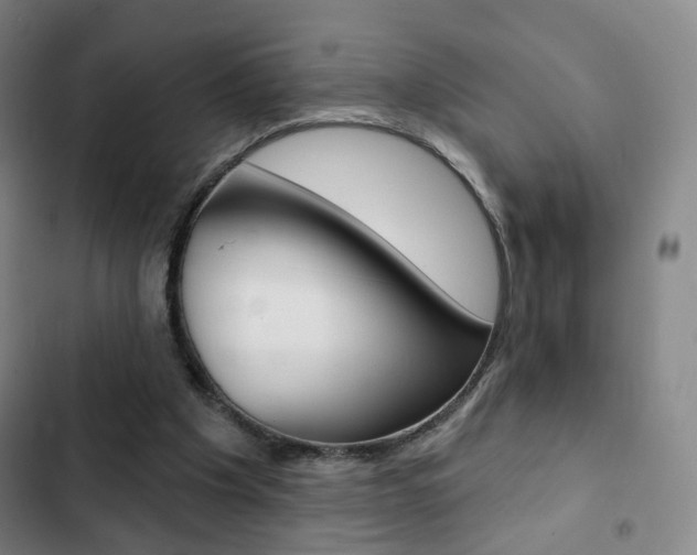 X0000103260201200808291051