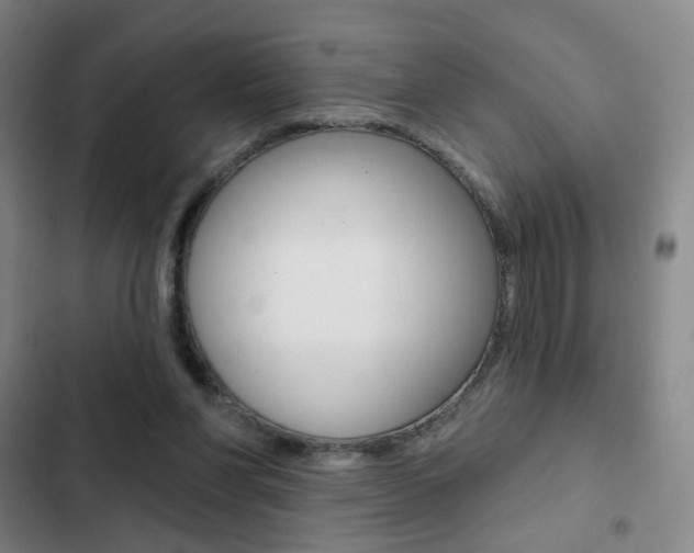 X0000103260206200808291051