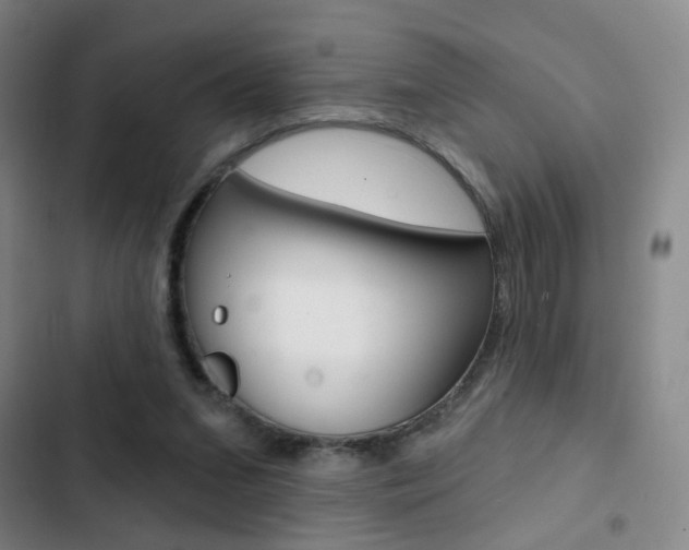 X0000103260207200808291051