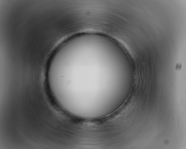 X0000103260208200808291051