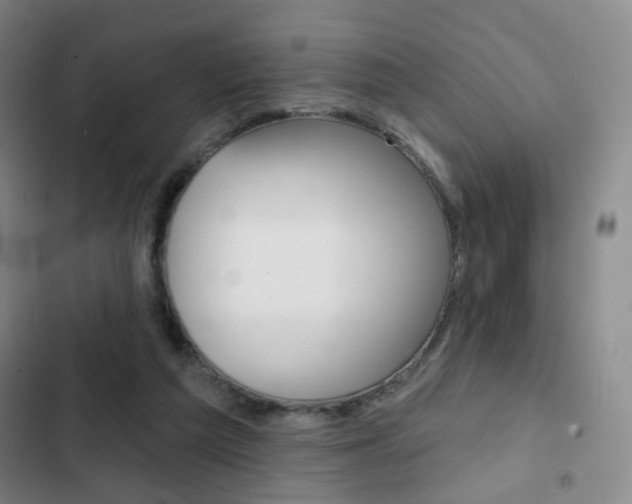 X0000103260209200808291051