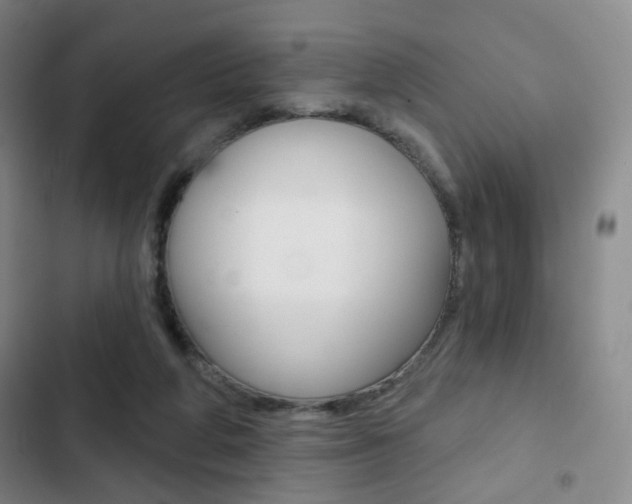 X0000103260210200808291051