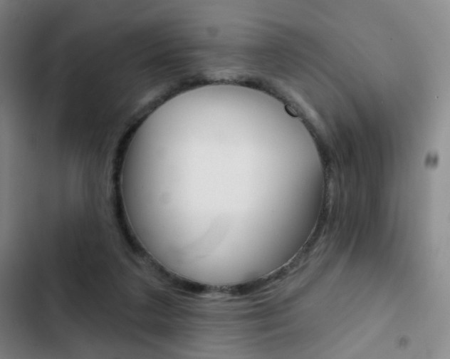 X0000103260211200808291051