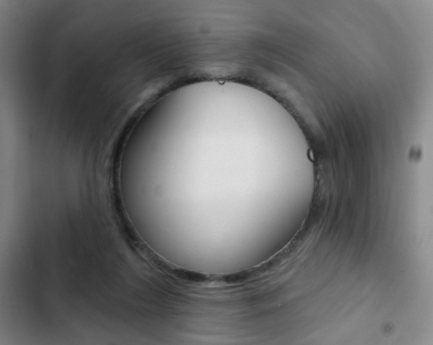 X0000103260212200808291051