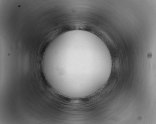 X0000103260218200808291050