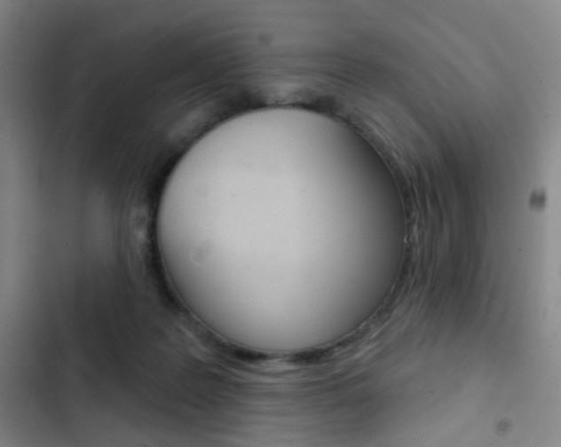 X0000103260219200808291050