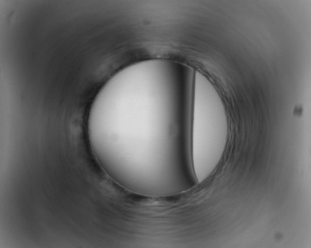 X0000103260221200808291050