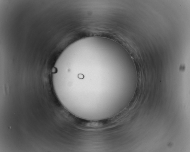 X0000103260225200808291050