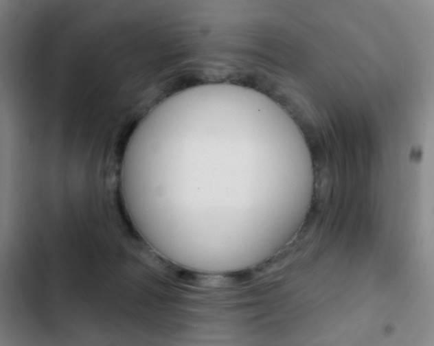 X0000103260226200808291050