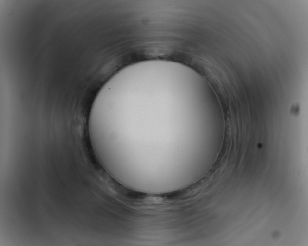 X0000103260227200808291050