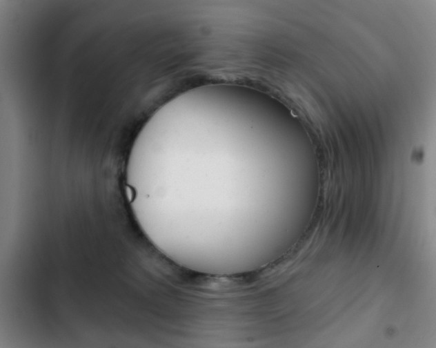 X0000103260229200808291050