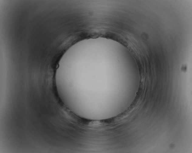 X0000103260231200808291050