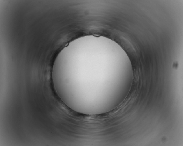 X0000103260232200808291050