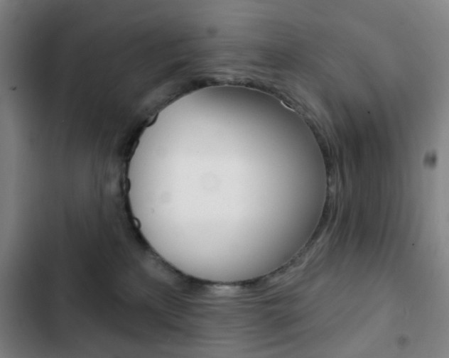 X0000103260233200808291050