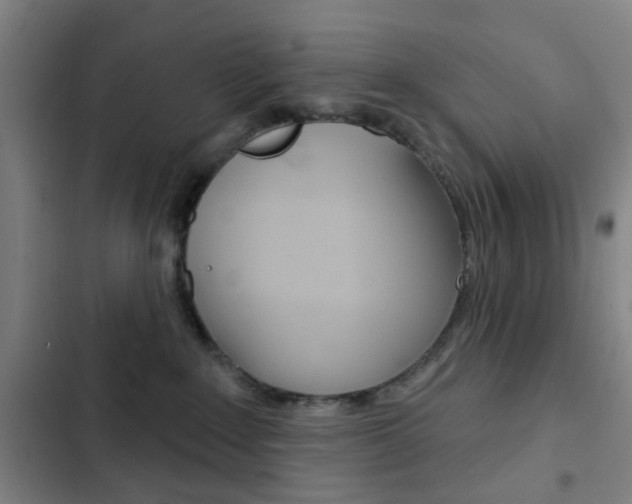 X0000103260235200808291050