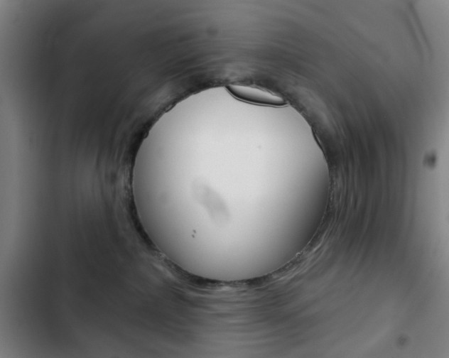 X0000103260236200808291050