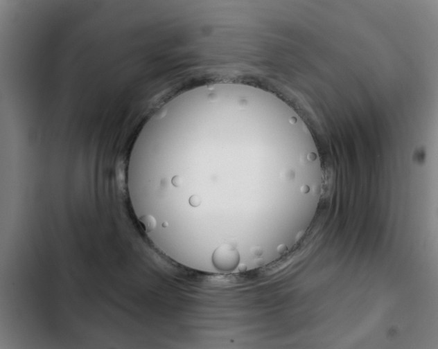 X0000103260238200808291050