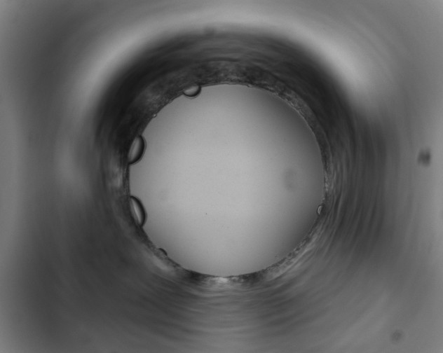 X0000103260239200808291050