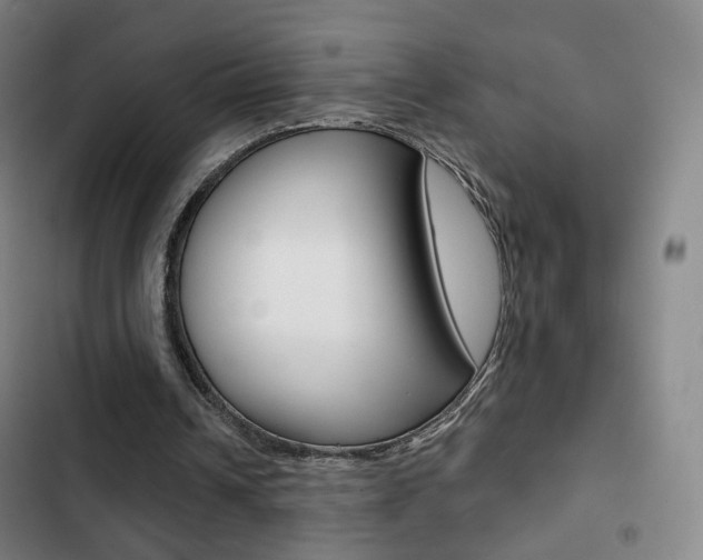 X0000103260242200808291049