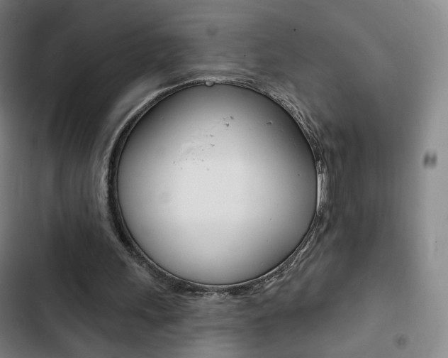 X0000103260243200808291049