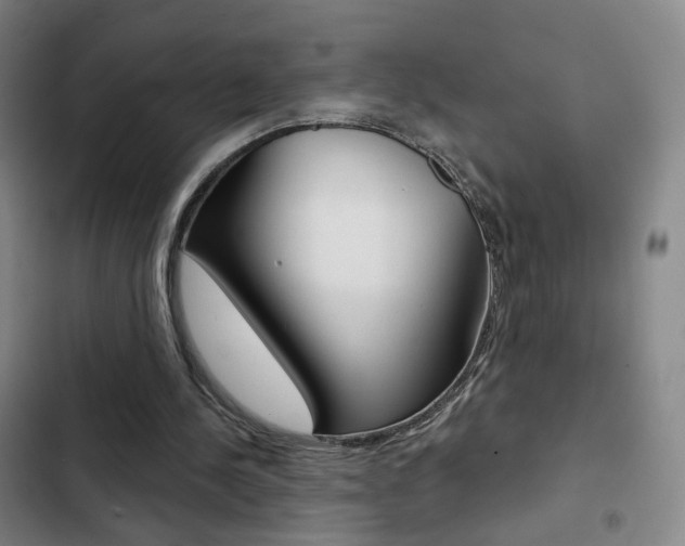 X0000103260244200808291049