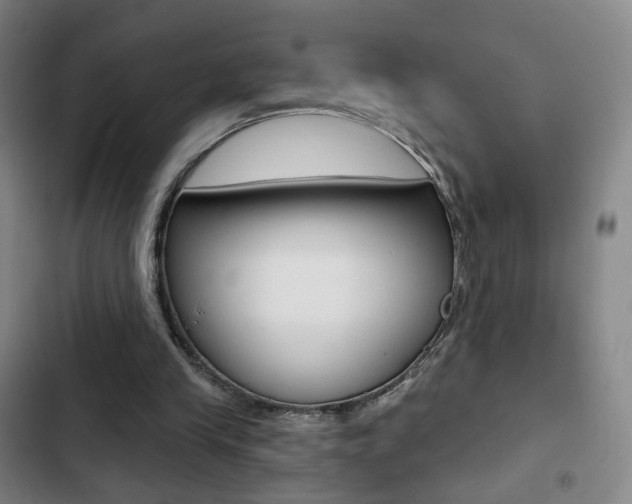 X0000103260245200808291049