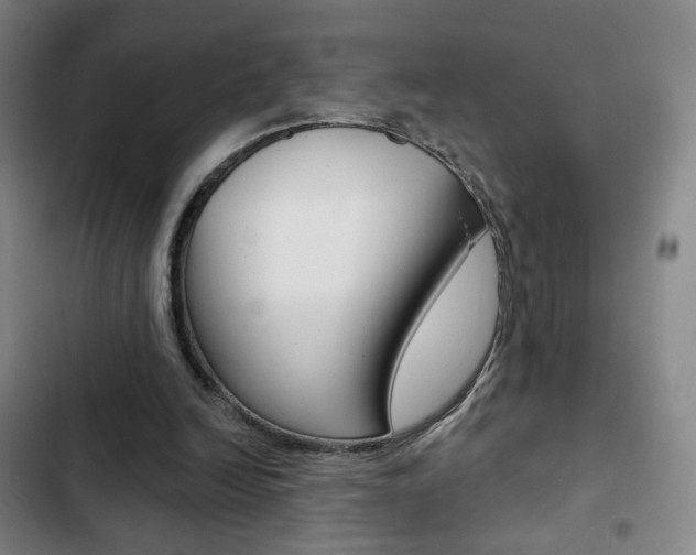 X0000103260246200808291049