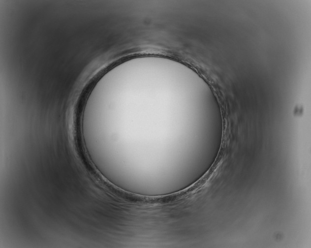 X0000103260247200808291049