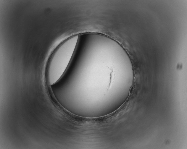 X0000103260248200808291049