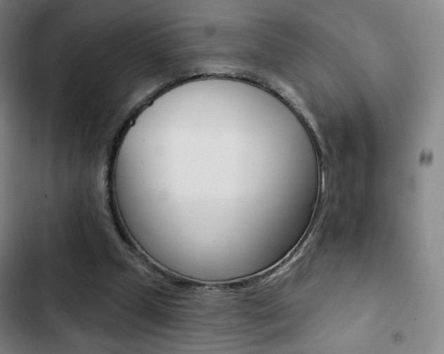 X0000103260249200808291049