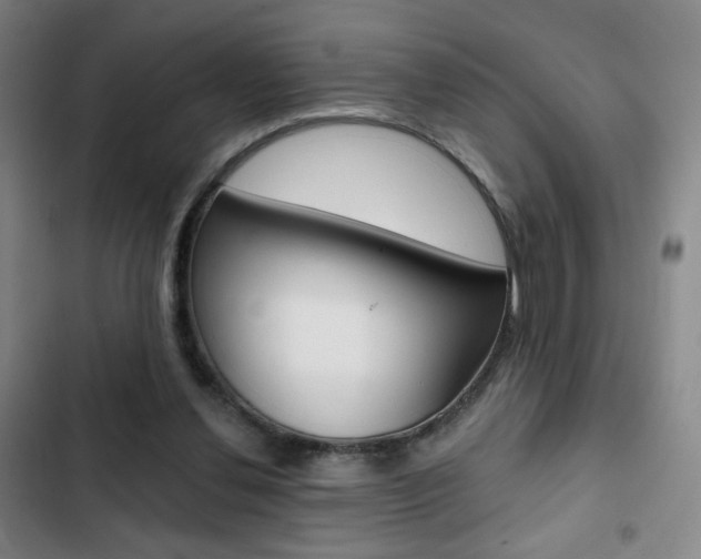 X0000103260252200808291049