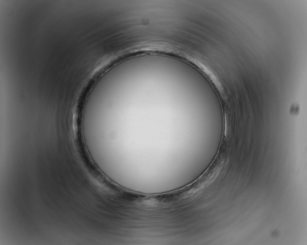 X0000103260253200808291049