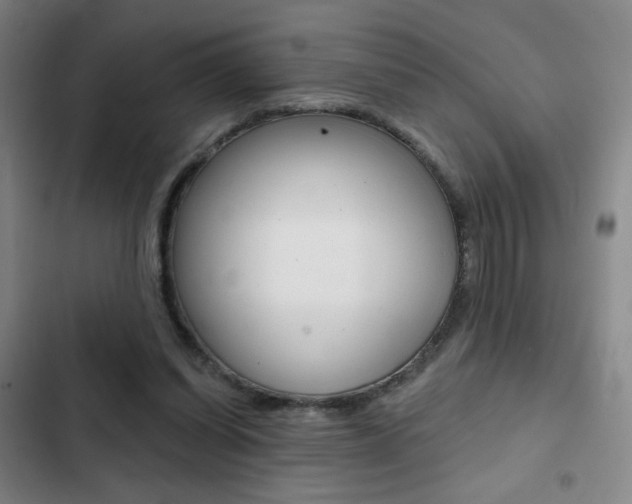 X0000103260254200808291049