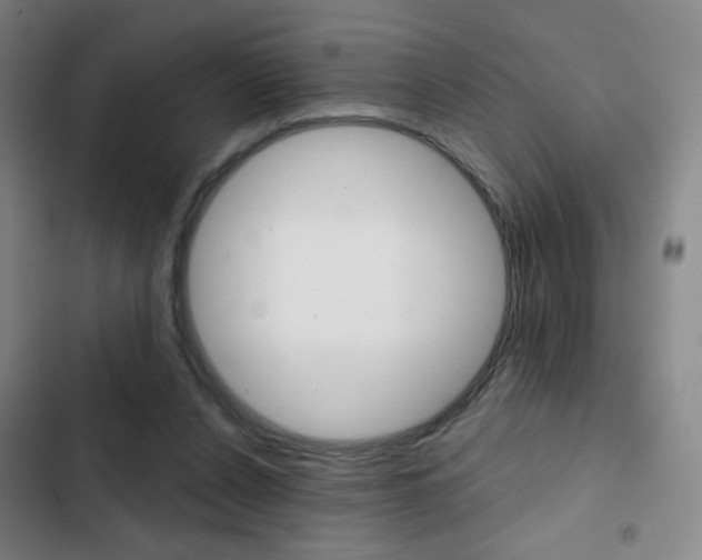 X0000103260256200808291050