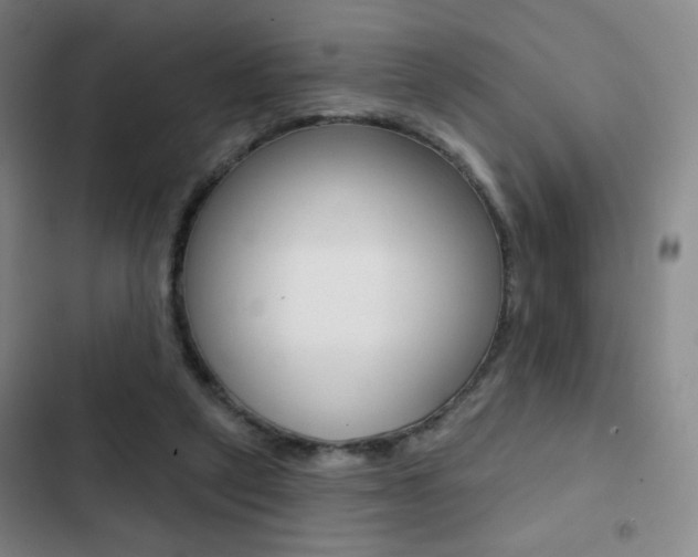 X0000103260257200808291050