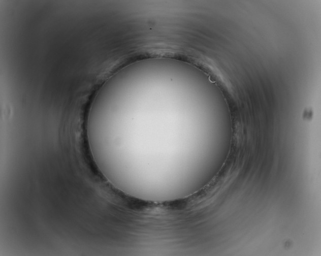 X0000103260259200808291050