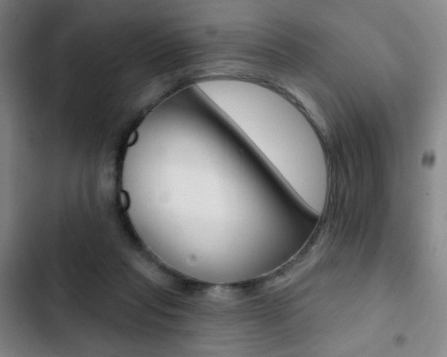 X0000103260261200808291050