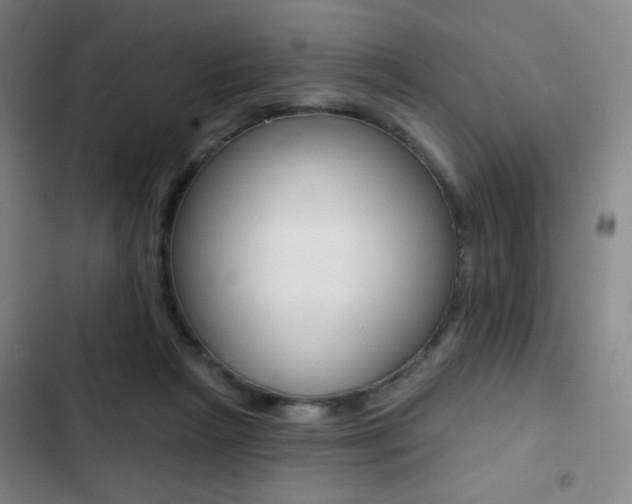 X0000103260265200808291050