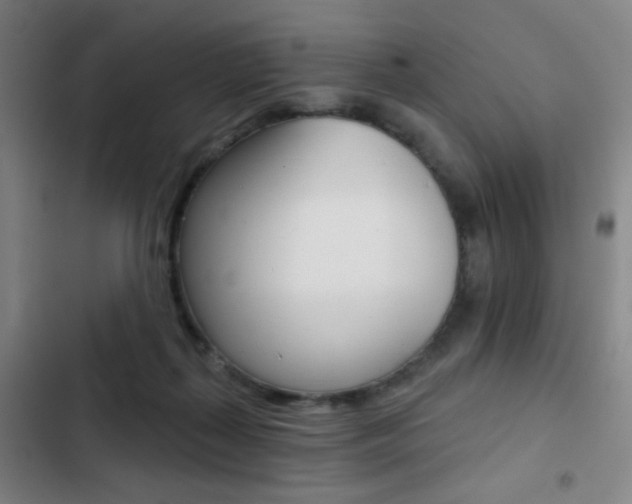 X0000103260267200808291050