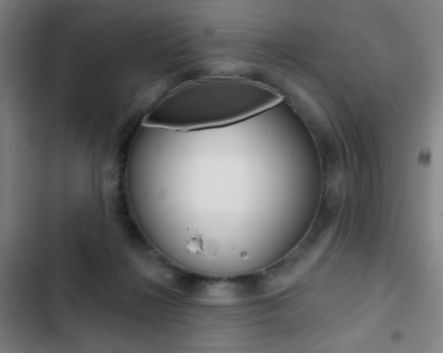 X0000103260268200808291050