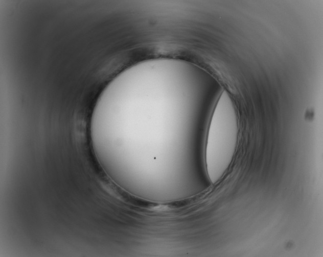 X0000103260269200808291050