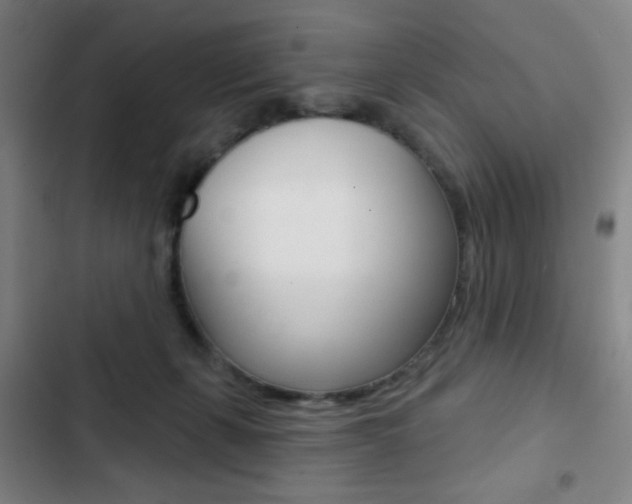 X0000103260271200808291050