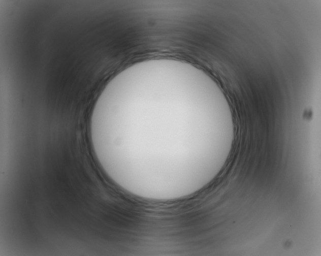 X0000103260272200808291050