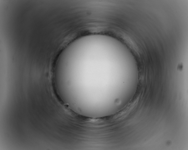 X0000103260277200808291050