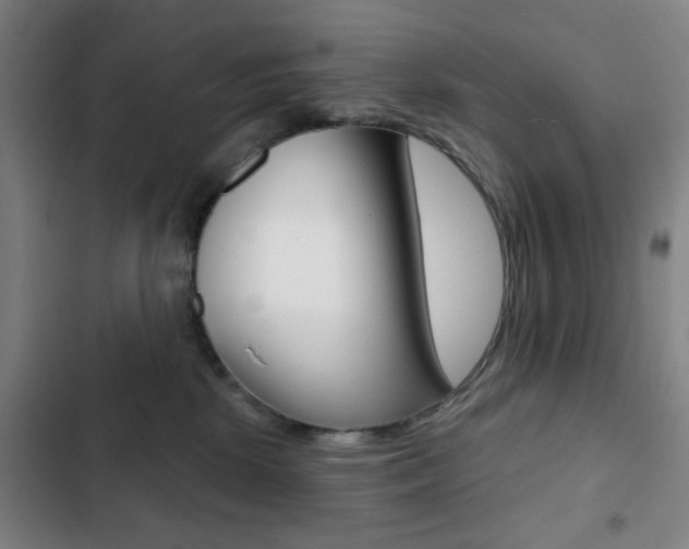 X0000103260281200808291050