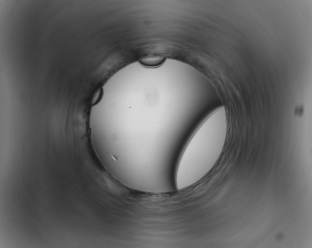 X0000103260282200808291050