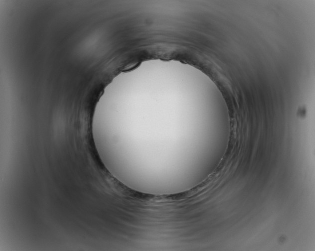 X0000103260283200808291050